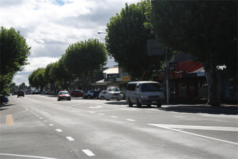 Notified Resource Consent: Notable Plane Trees on Oxford Street Levin web thumbnail image.