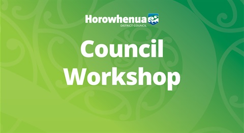 Council Workshops.jpg