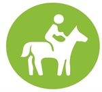 Horse-icon.jpg