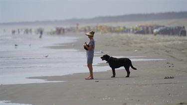 Beach goer and dog enjoying the sunshine at Waitārere Beach