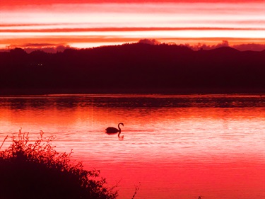 CaptureYourHororowhenua-Matariki-3-Megan-McKenzie.jpg