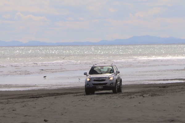 Bernie on the Beat - Christmas - Foxton Beach Scenic 2021.
