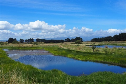 Waitārere Beach Master Plan thumbnail image.