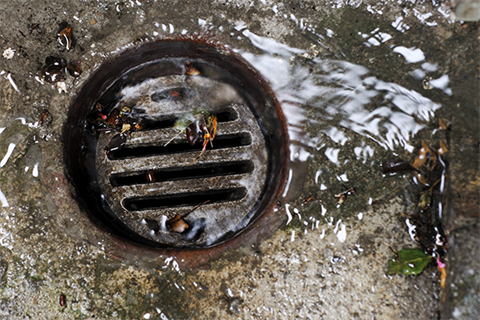 Wastewater - Water running down a garden drain.