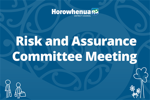 Risk and Assurance Committee meetings.