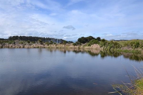 Foxton Beach Lakes - October 2019