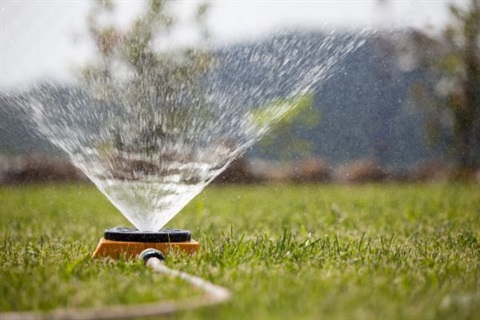 Sprinkler-spraying-water-on-the-grass-000057051122_XXXLarge.jpg