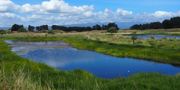 Waitārere Beach Master Plan - photo from the cover page.