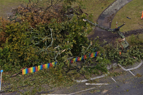 Tree Damage at the Levin Adventure Park following a tornado in Levin.