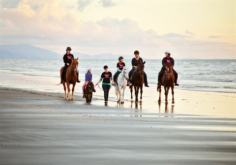 WaitarereBeach-Levin Horses