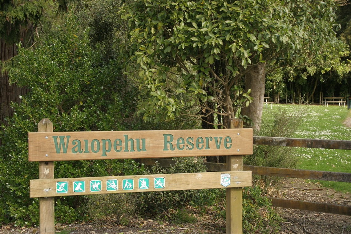 Waiopehu Scenic Reserve.