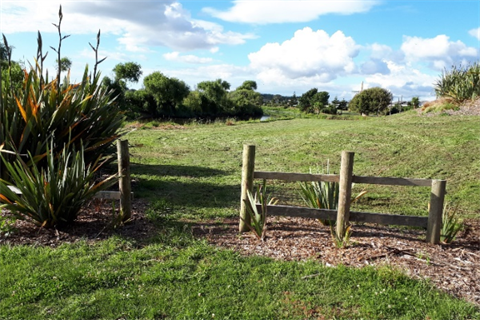 River Loop Amble and Flax Walkway - Fence to grassy track with flax. 