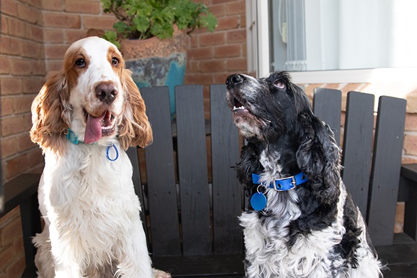 Poppy & Ted showing of the different tags.