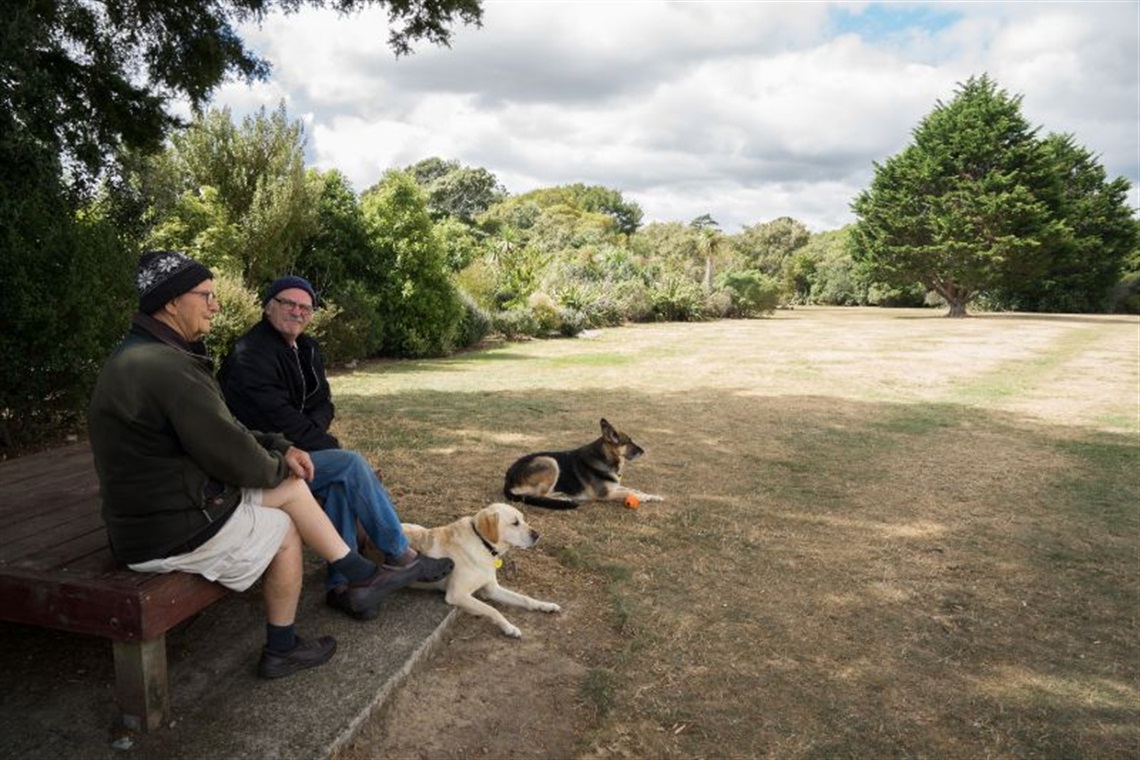 Kowhai-Park.jpg